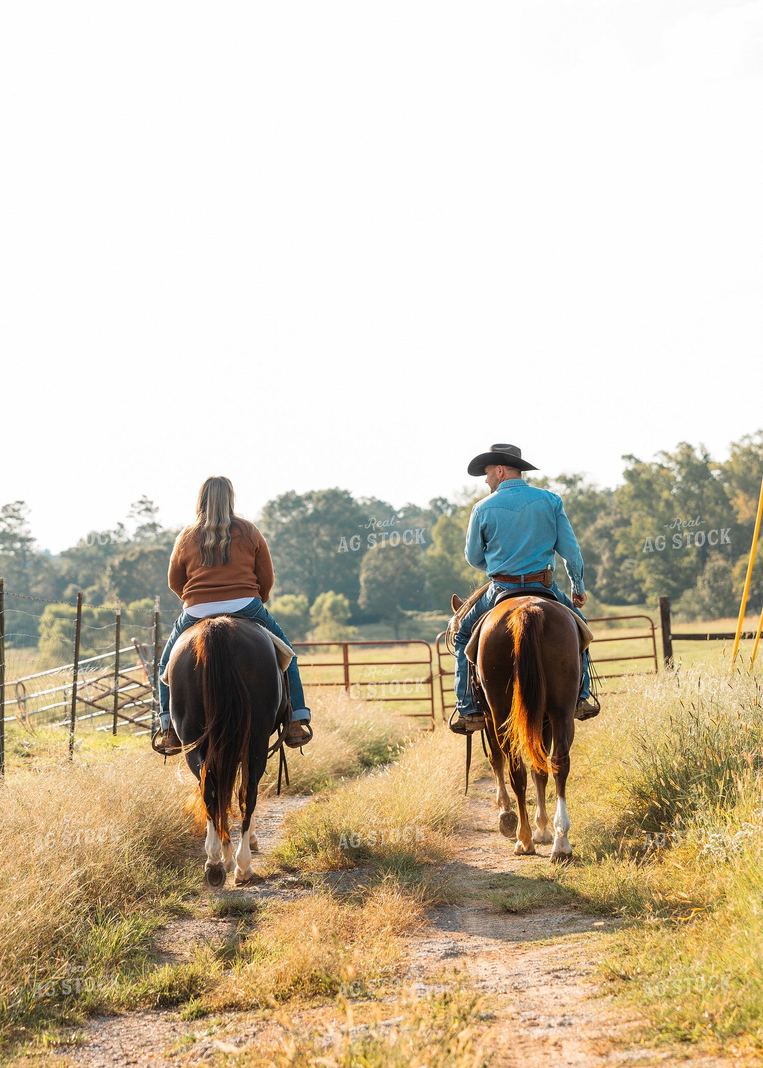 Ranchers on Horseback 256007