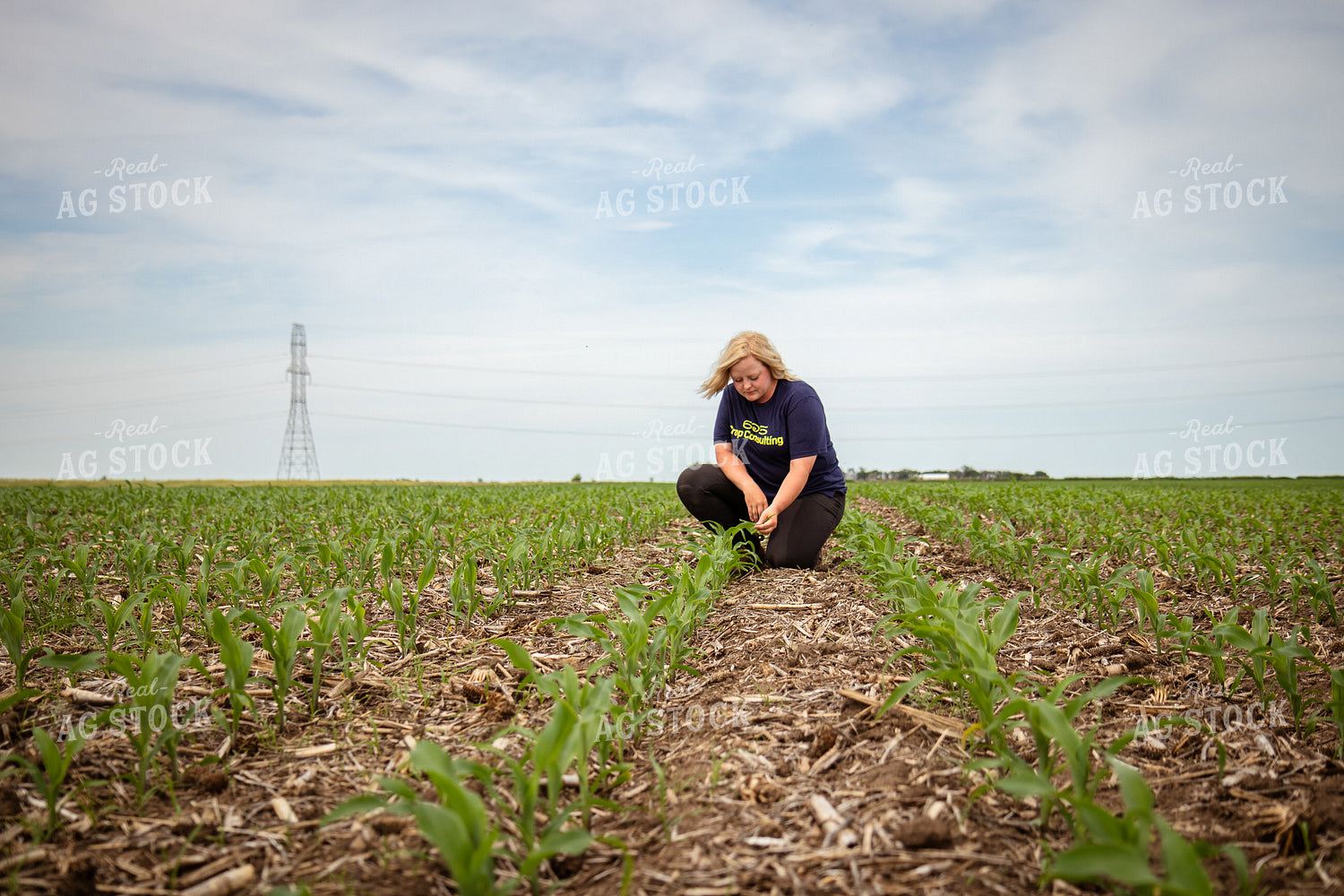 Female Agronomist Scouting Field 67760