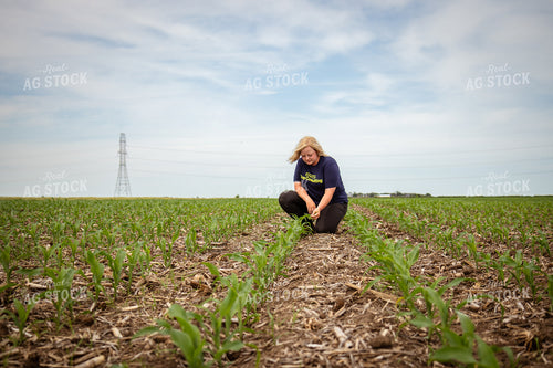 Female Agronomist Scouting Field 67760