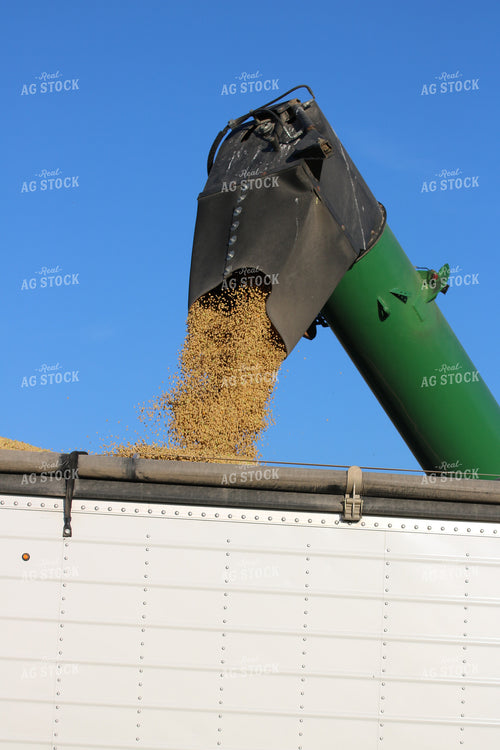 Unloading into Semi 82096