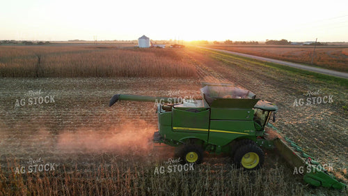 Corn Harvest 65465