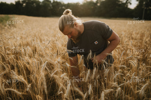 Farmer in Rye Field 5973