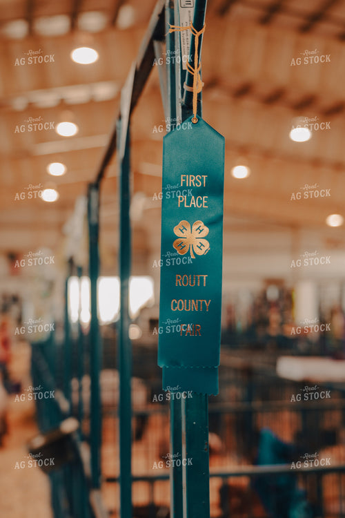 First Place Ribbon 4H Show 58158