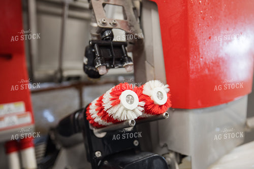 Robotic Milking Unit in Use 270199