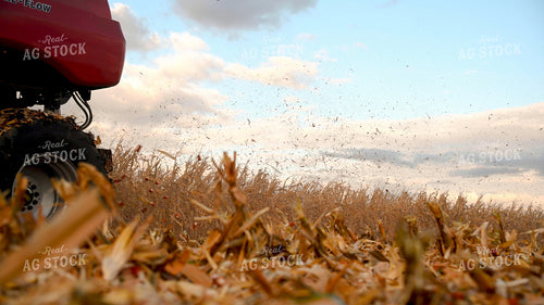 Corn Cobs and Chaff from Combine End 25656