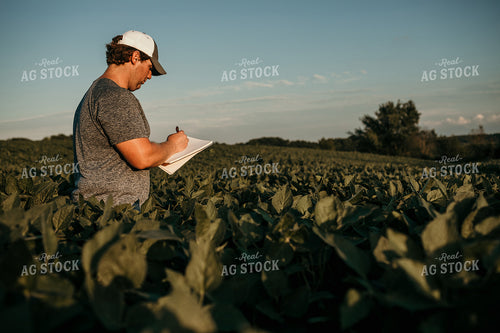 Farmer in Soybean Field with Notebook 3176