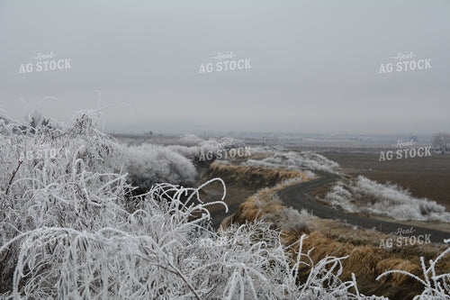 Snowy Mountain Landscape 198016
