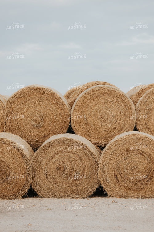 Round Hay Bales 254000