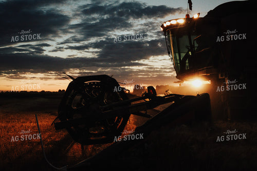 Wheat Harvest 83096