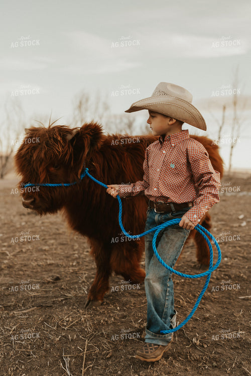 Farm Kid with Highland Calf 61223
