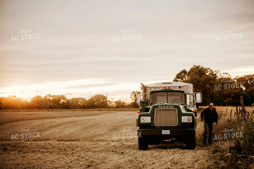 Harvest 2637