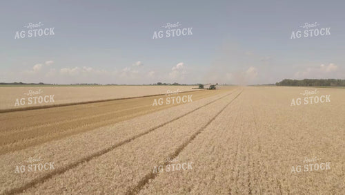 Harvesting Wheat Drone 6548
