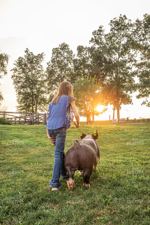 Farm Kid with Show Pig 270209