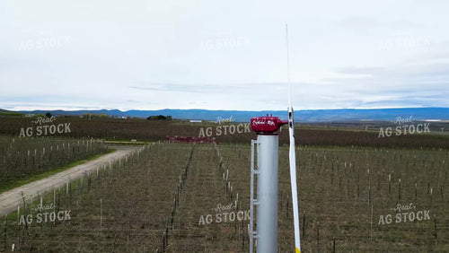 Wind Power on Apple Orchard 146043