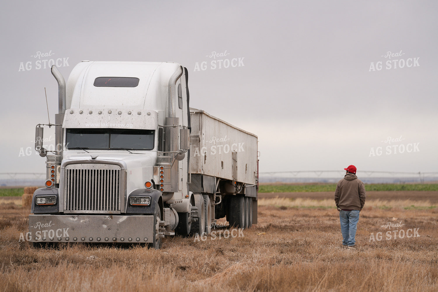 Transporting Grain 293005