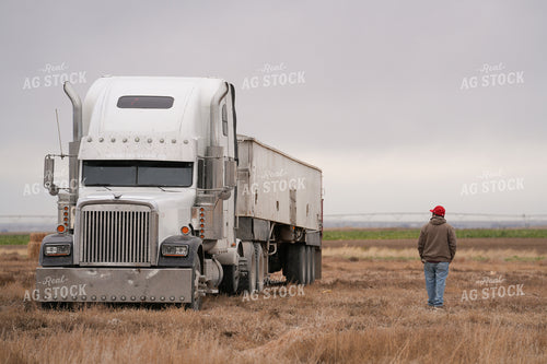 Transporting Grain 293005