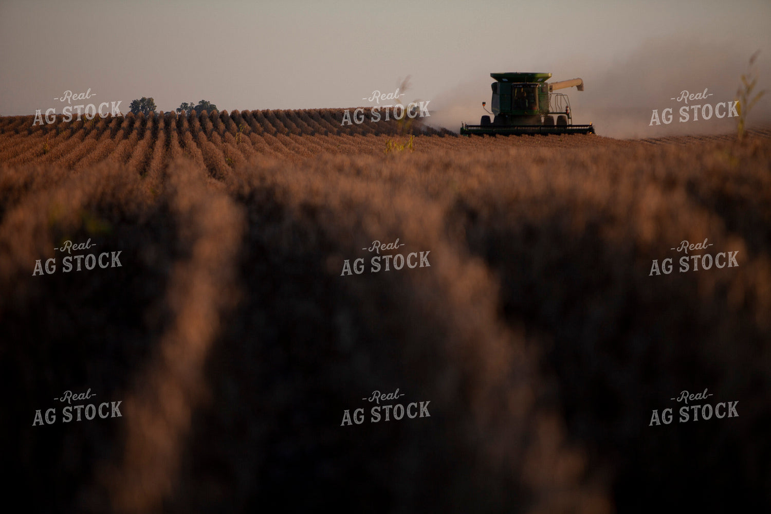 Harvest 1816