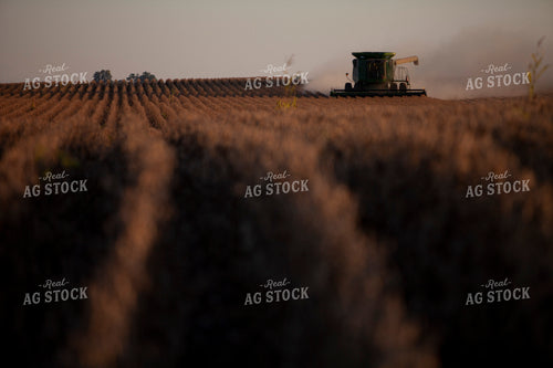 Harvest 1816