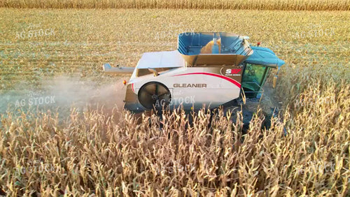 Corn Harvest 65140