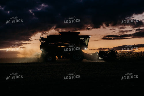 Soybean Harvest at Night 281118