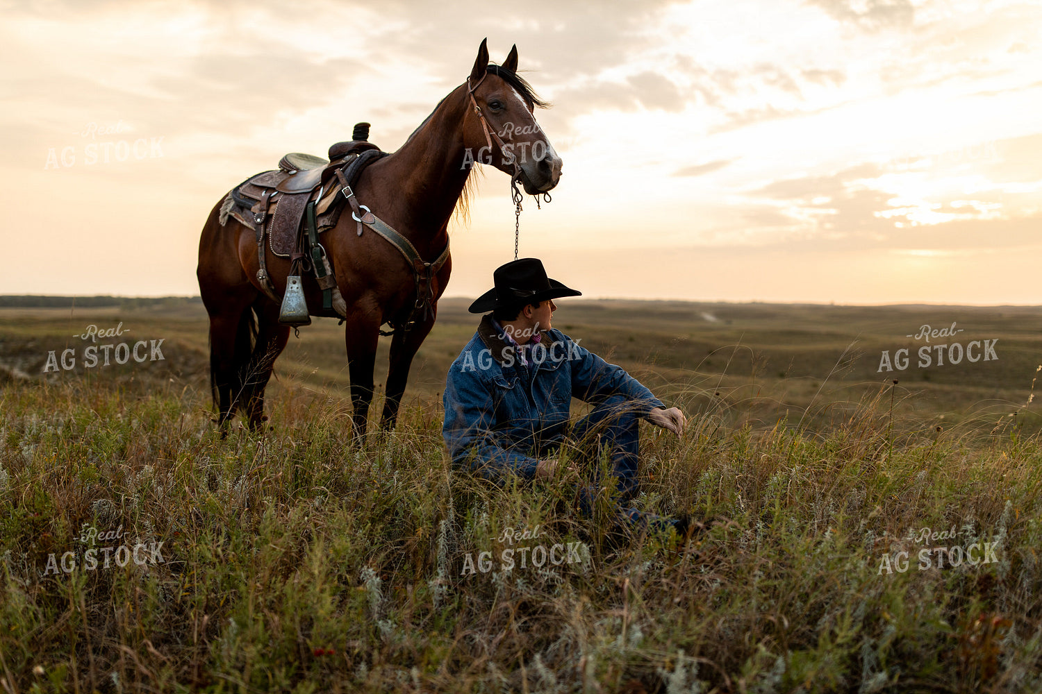 Rancher with Horse in Pasture 71014