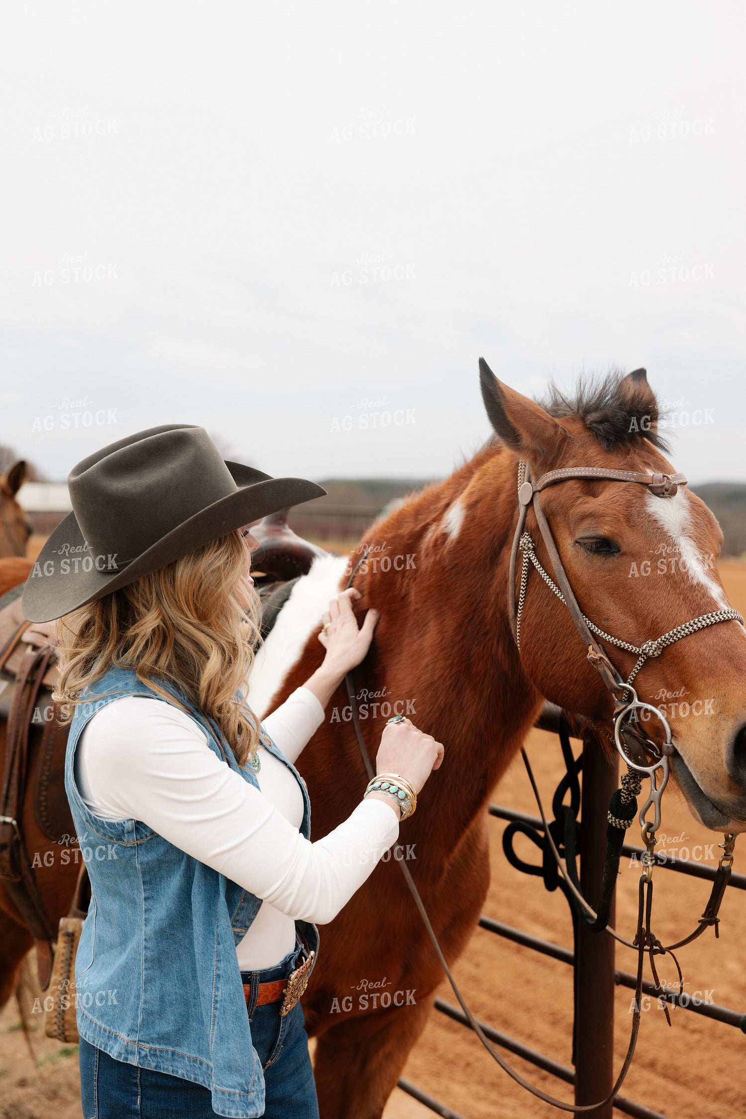 Horses Saddled for Trail Ride 205131