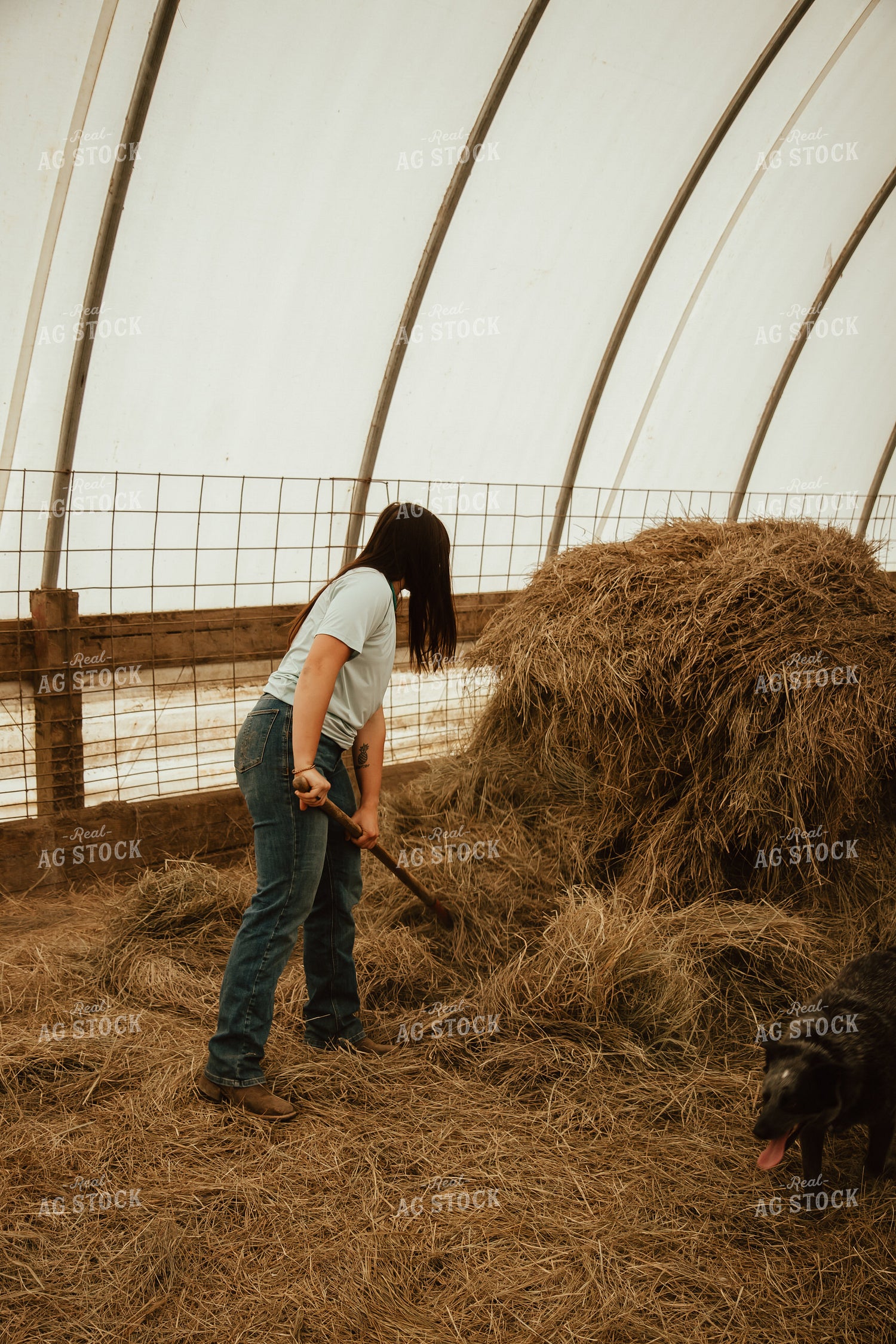 Female Farmer Moving Straw 67770
