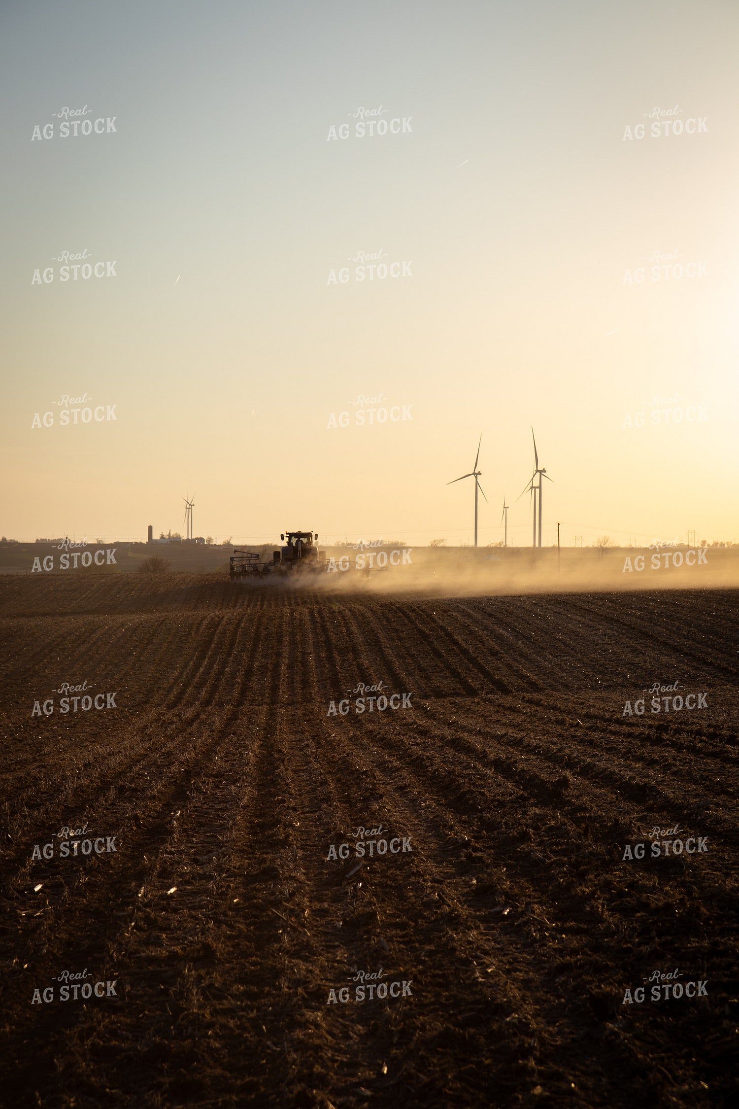 Planting 67566