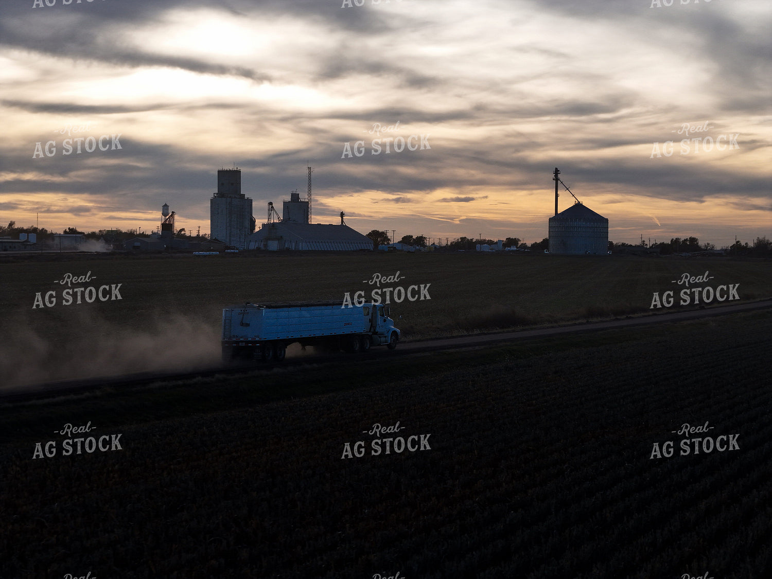 Semi Transporting Grain 239421