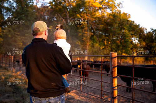 Farmer and Daughter Checking Cows 115442