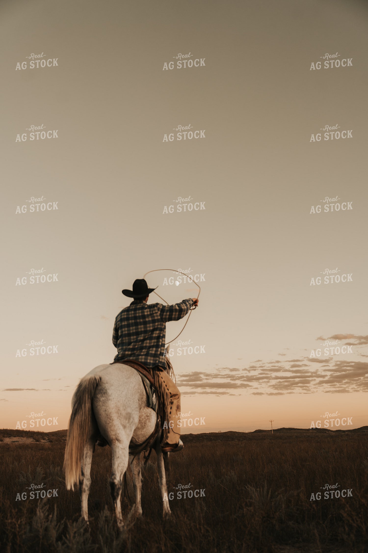 Cowboy Roping 61210