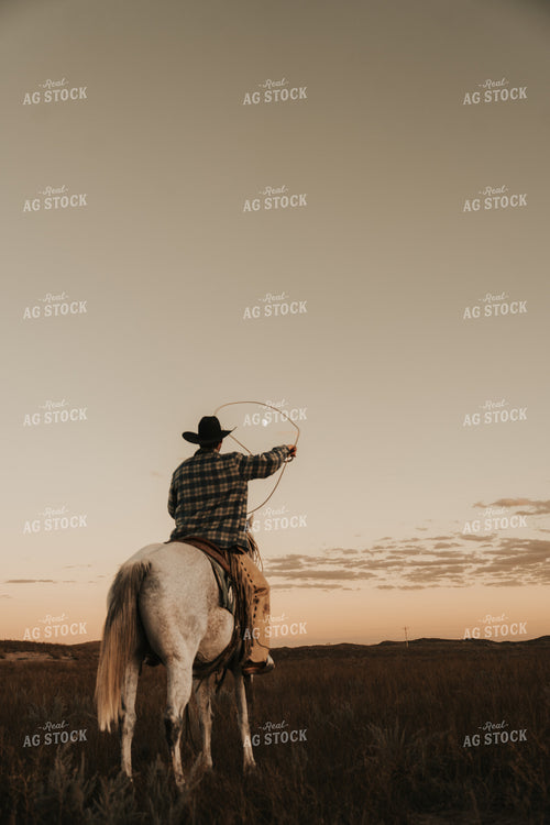 Cowboy Roping 61210