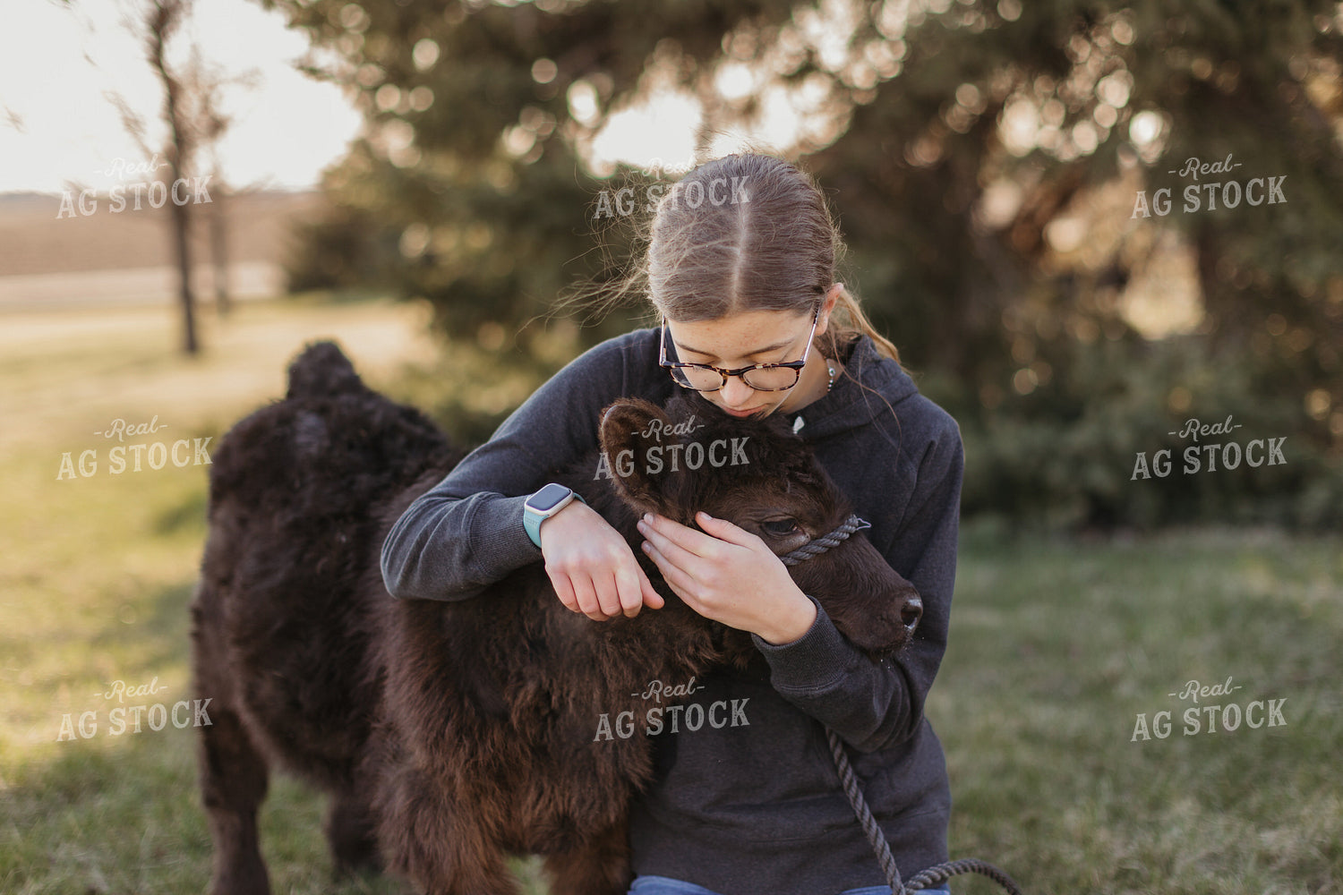 Farm Kid with Show Calf 174048