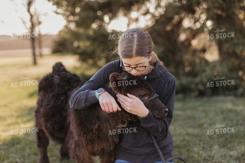 Farm Kid with Show Calf 174048