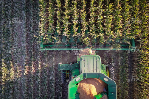 High Moisture Shell Corn Harvest Drone 56178