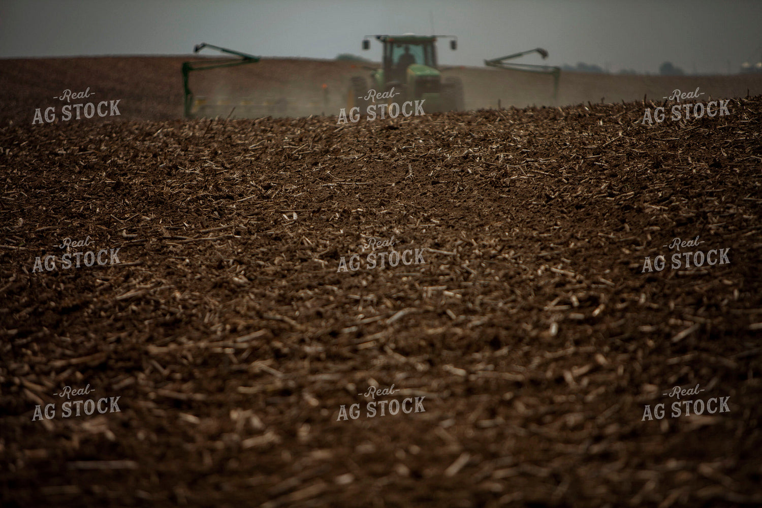 Planting 1959