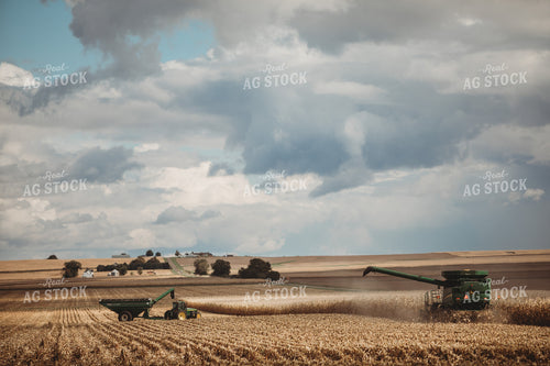 Combine and Auger Wagon Grain Cart Picking Corn 3314