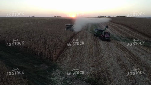 Corn Harvest 215062
