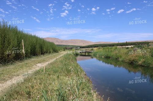 Road and Creek by Orchard 198025
