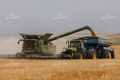 Wheat Harvest 187208