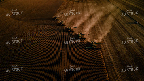 Soybean Harvest 9307