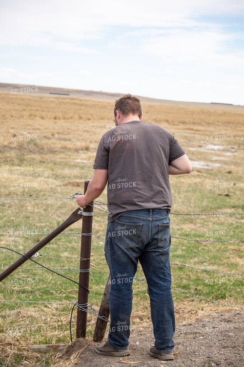 Farmer Putting Up Fence 155416