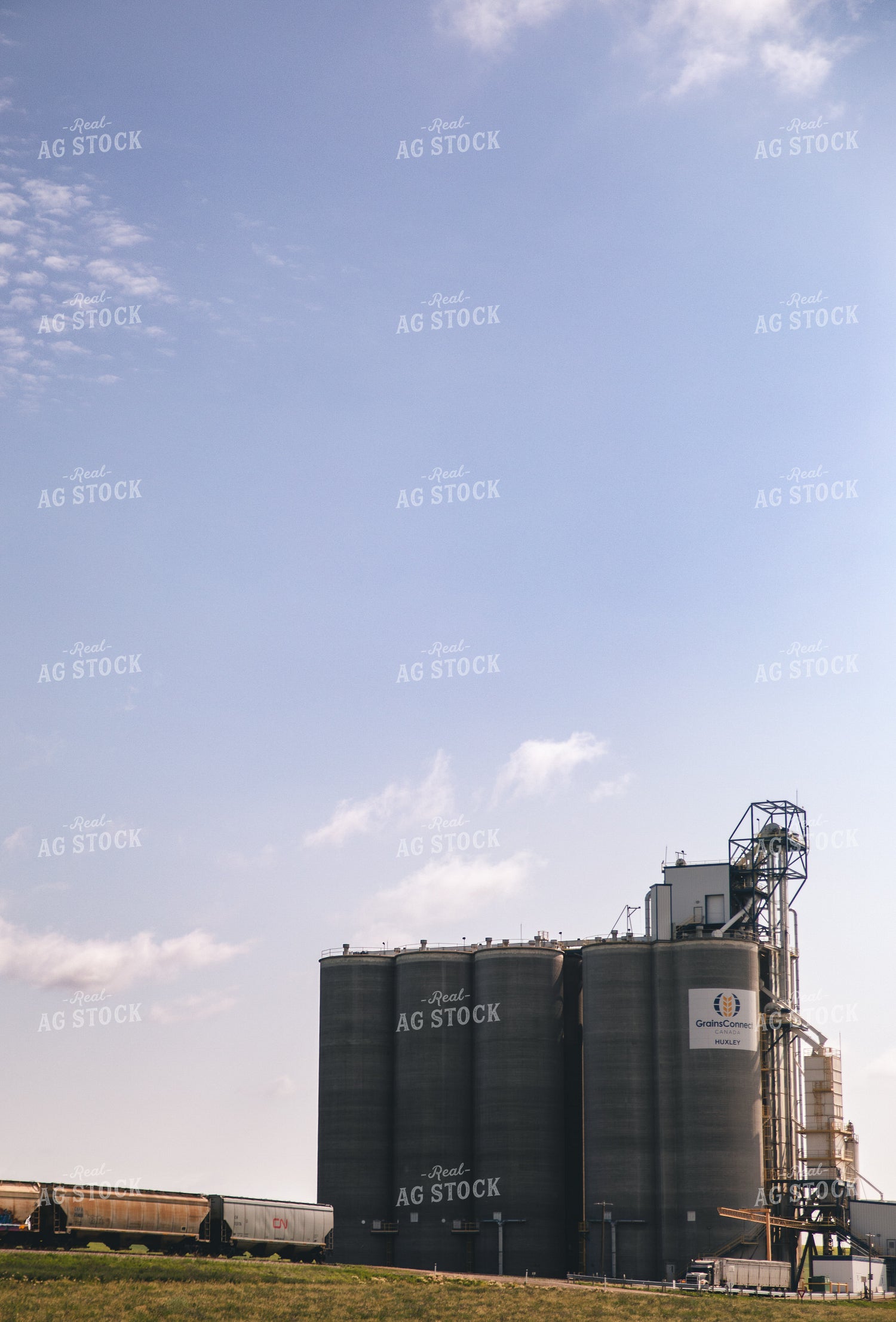 Grain Terminal 238004