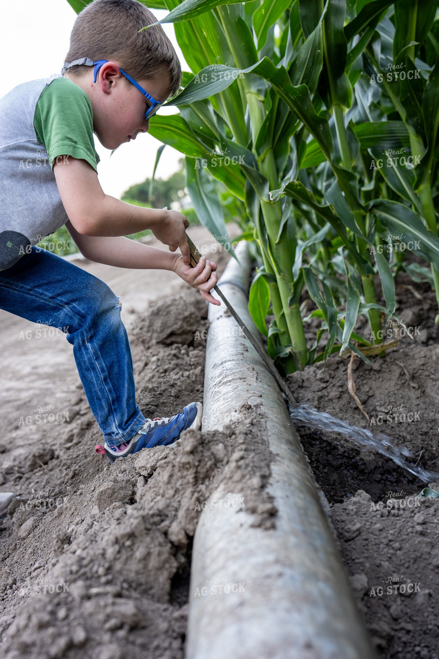 Farm Kid Opening Gated Irrigation Pipe 65881