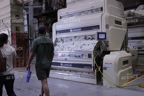 Cotton Processing Plant 102166