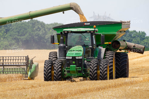Auger Putting Wheat in Grain Cart 79070