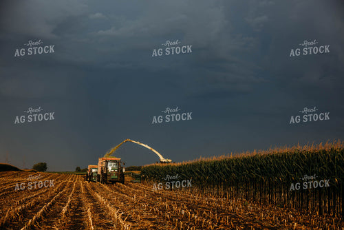 Chopping Corn Silage 152038