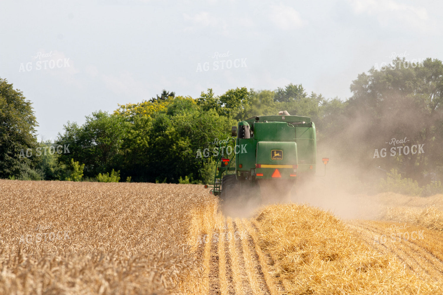 Wheat Harvest 157193