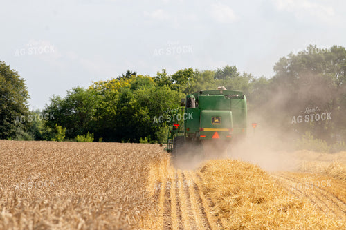 Wheat Harvest 157193