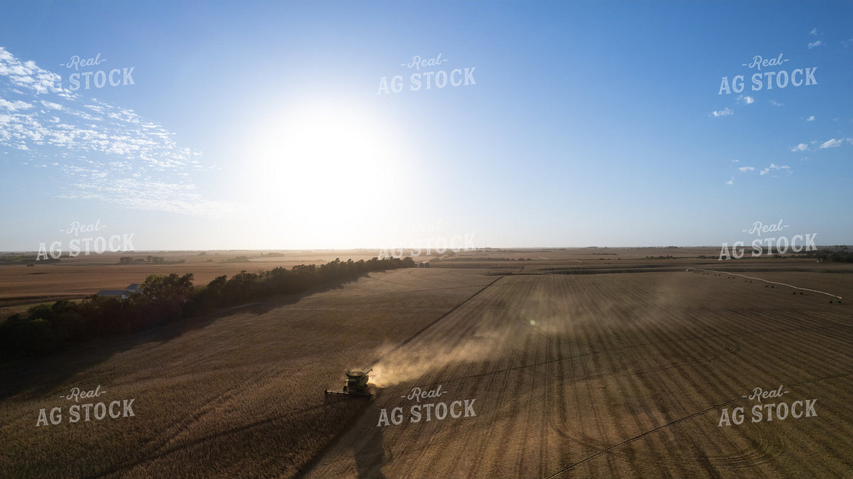 Soybean Harvest 65970